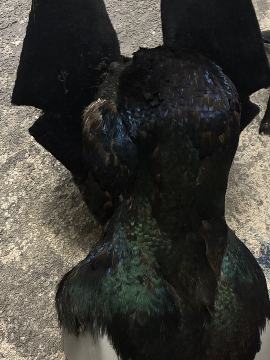 (Fursuit WIP) 

Well ladies and gents, I just found out the hard way that feathers are amazing at keeping you nice and warm. 🥲