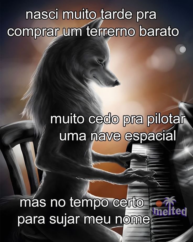 burrosgeniais's tweet image. 