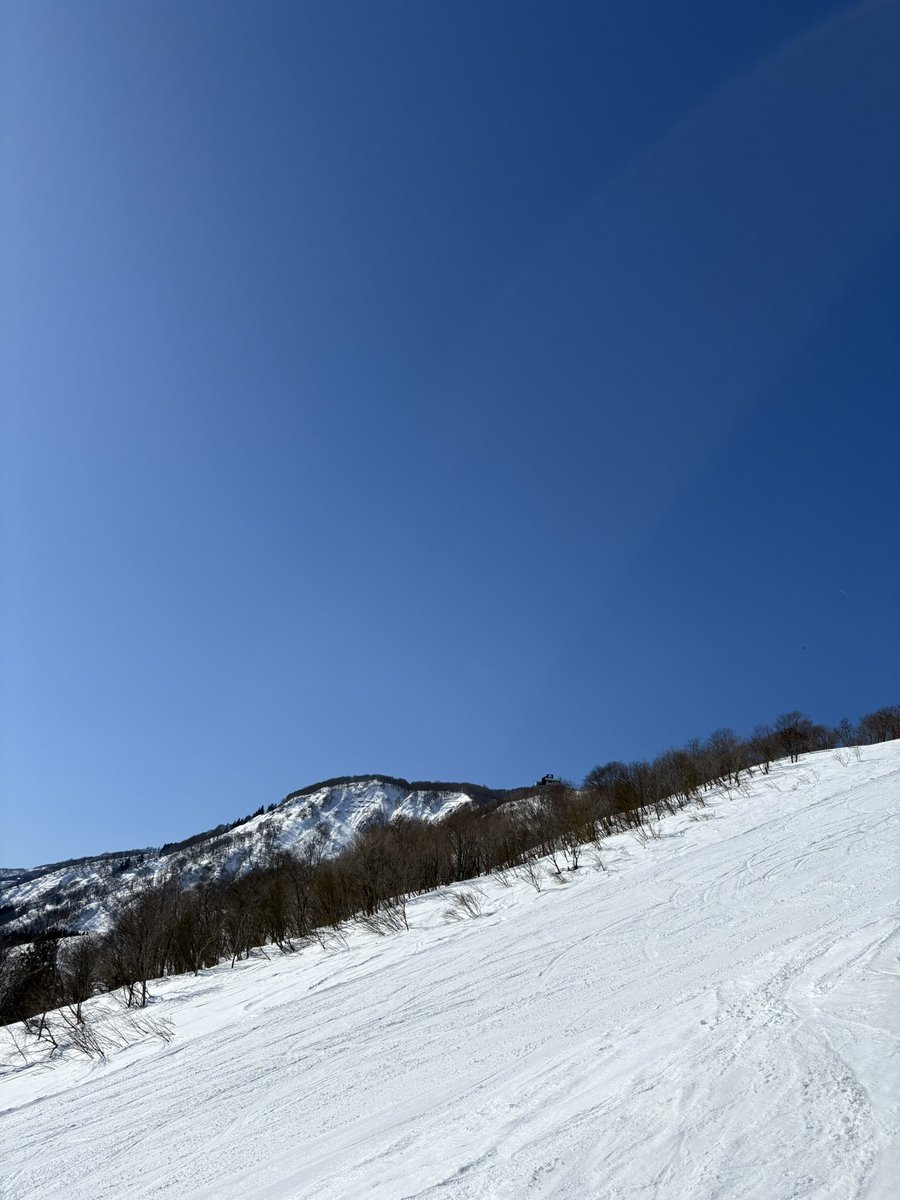manabu_blue_sky's tweet photo. 本日は新潟県の石打丸山スキー場
ガンホーモンスターパイプでハーフパイプの練習
雲ひとつ無い青空、気持ちいいね〜😊
空と同化出来そうだ😆
#石打丸山スキー場
@ishiuchi_IM
#ガンホーモンスターパイプ
#スノーボード
#ハーフパイプ
#playdesign https://t.co/WvCUPY07dQ