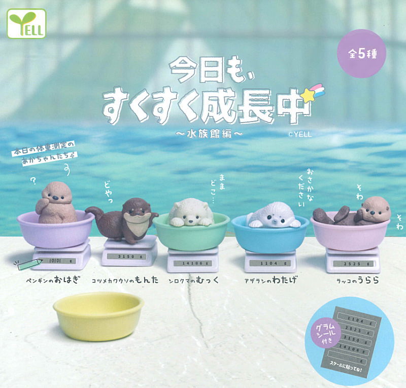 ✨新商品案内 2026年2月21日(土)✨／ ☑️今日も、すくすく成長中