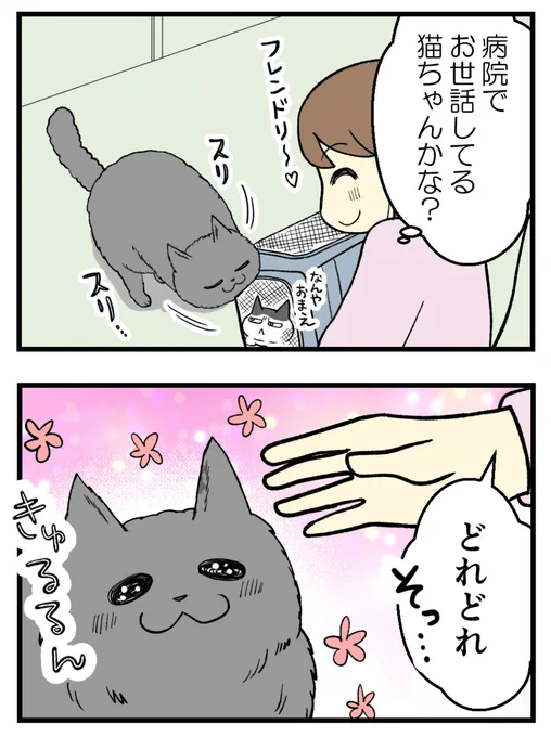 (2/3) 