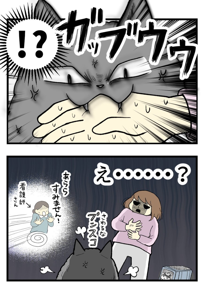 (2/3) 