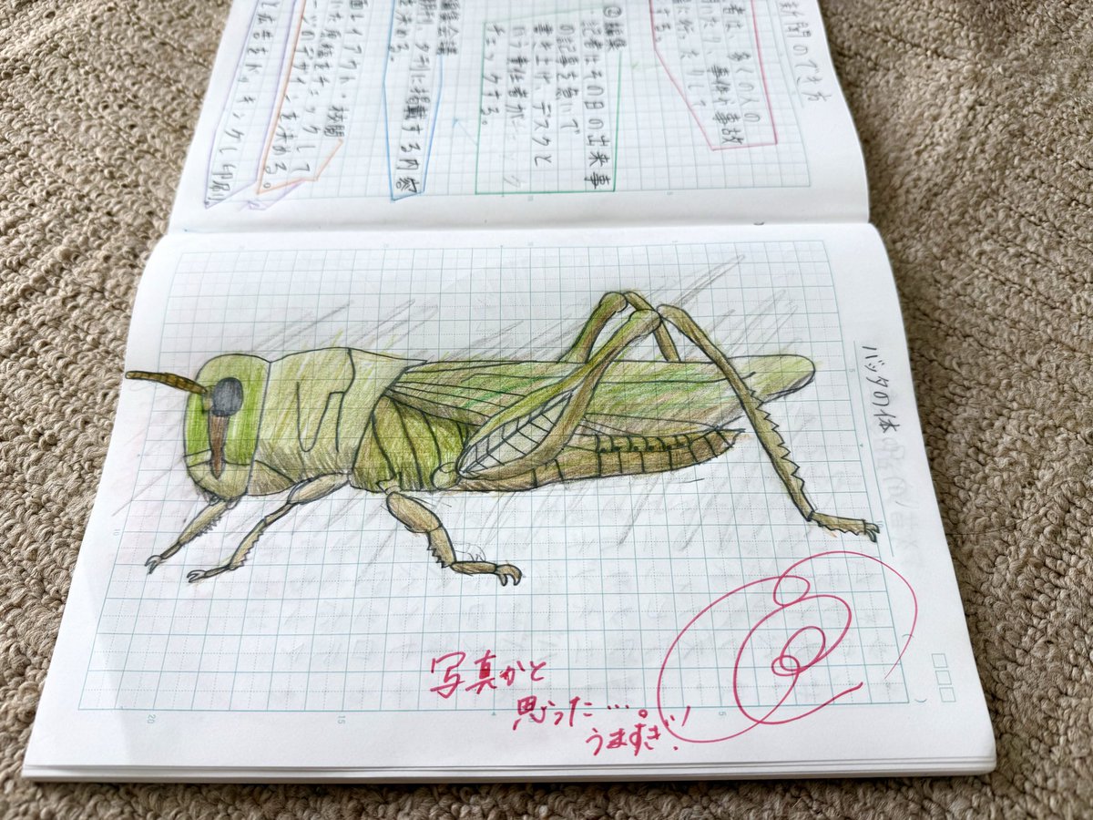 堂々として👏仮面ライダーも心震える