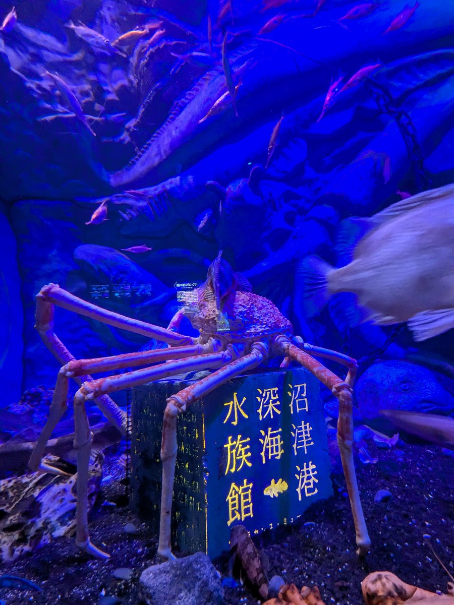 nnnn_a042's tweet photo. きた https://t.co/8aWKPJnfgZ
