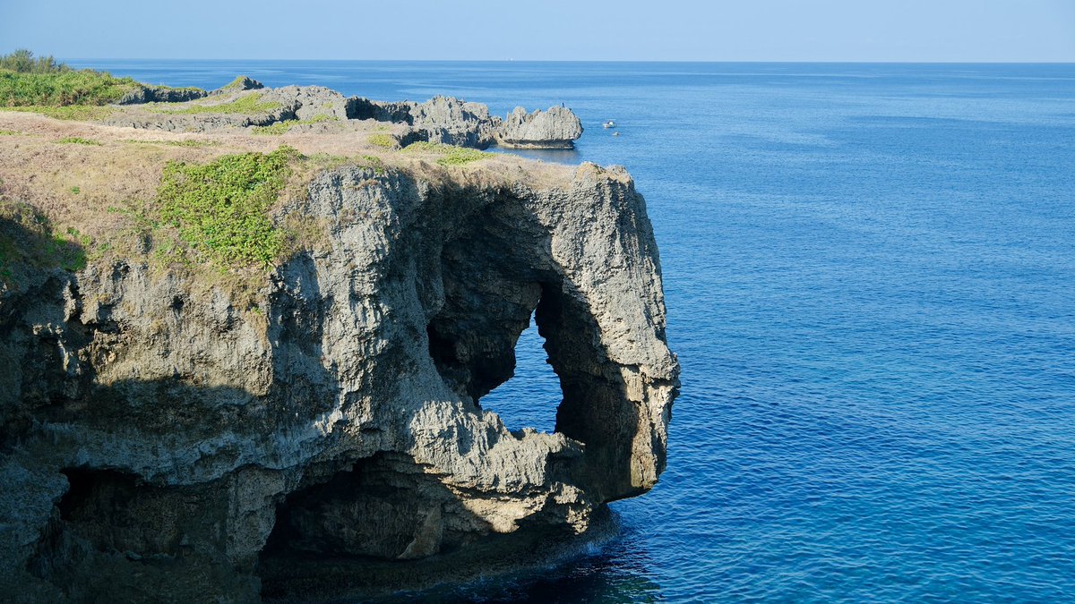 悟空 美ら亀 (@okinawa680) / Posts / X