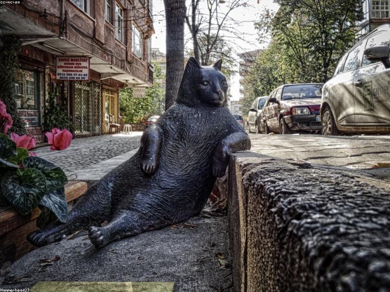 wilder🦉 tweet media