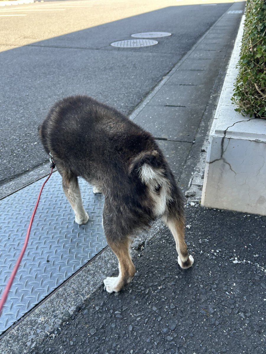 神林仁 tweet media