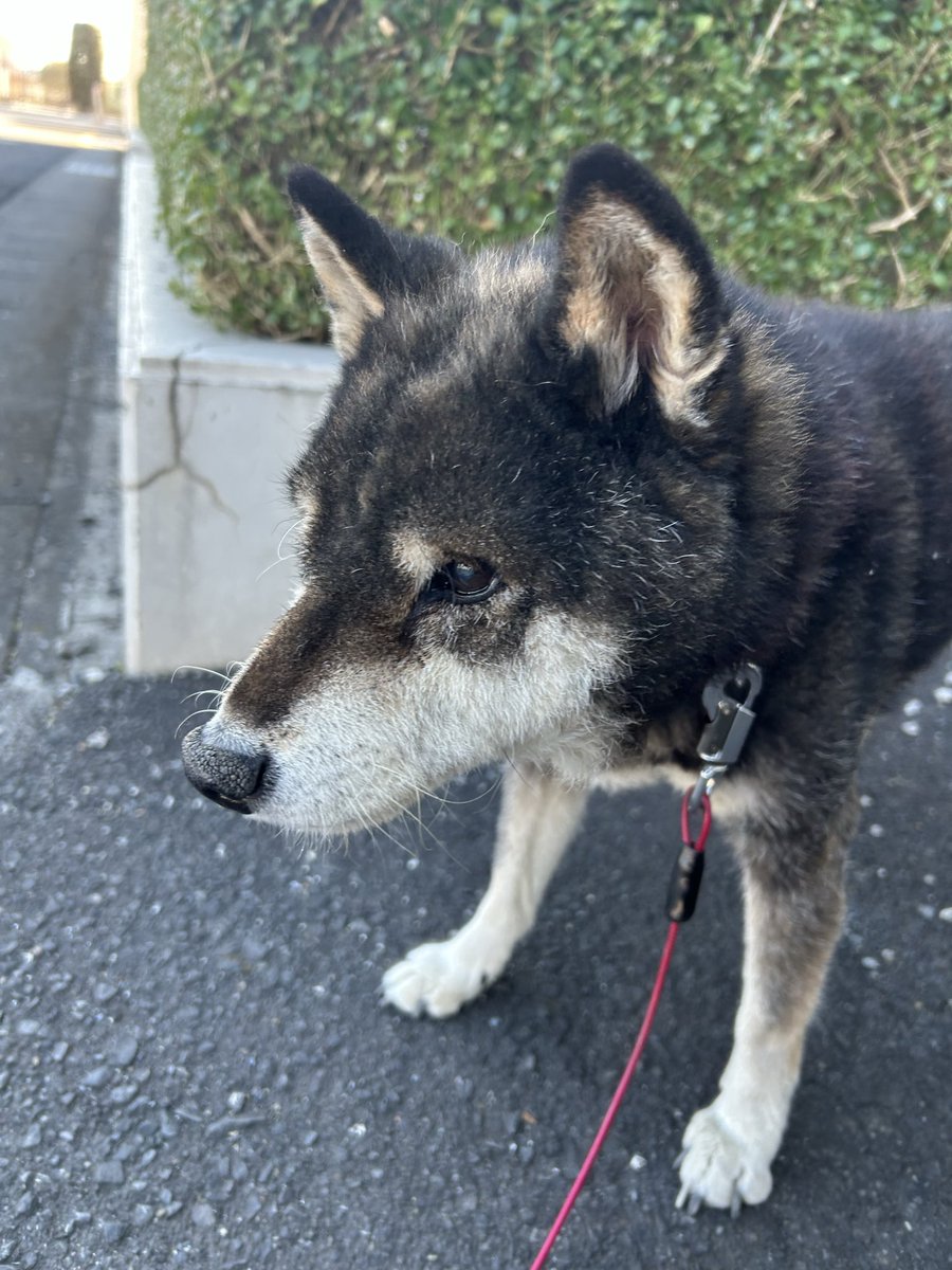 神林仁 tweet media