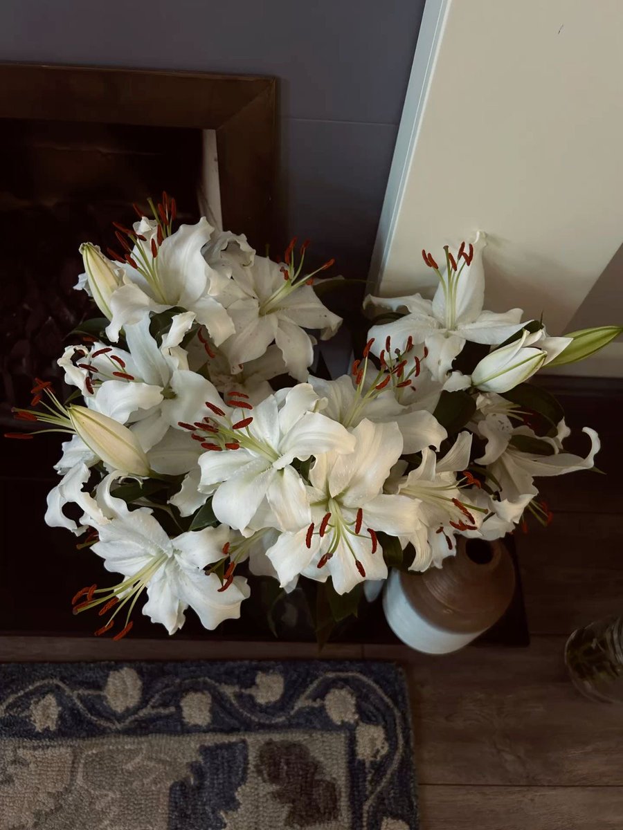 𝐁𝐄𝐑𝐋𝐀𝐈𝐍 𝐂𝐎. 𝕏 tweet media