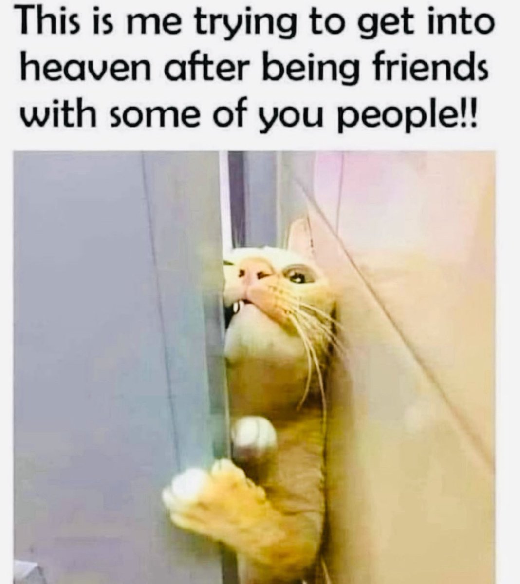 joeydark2Light's tweet image. 🤣🤣🤣