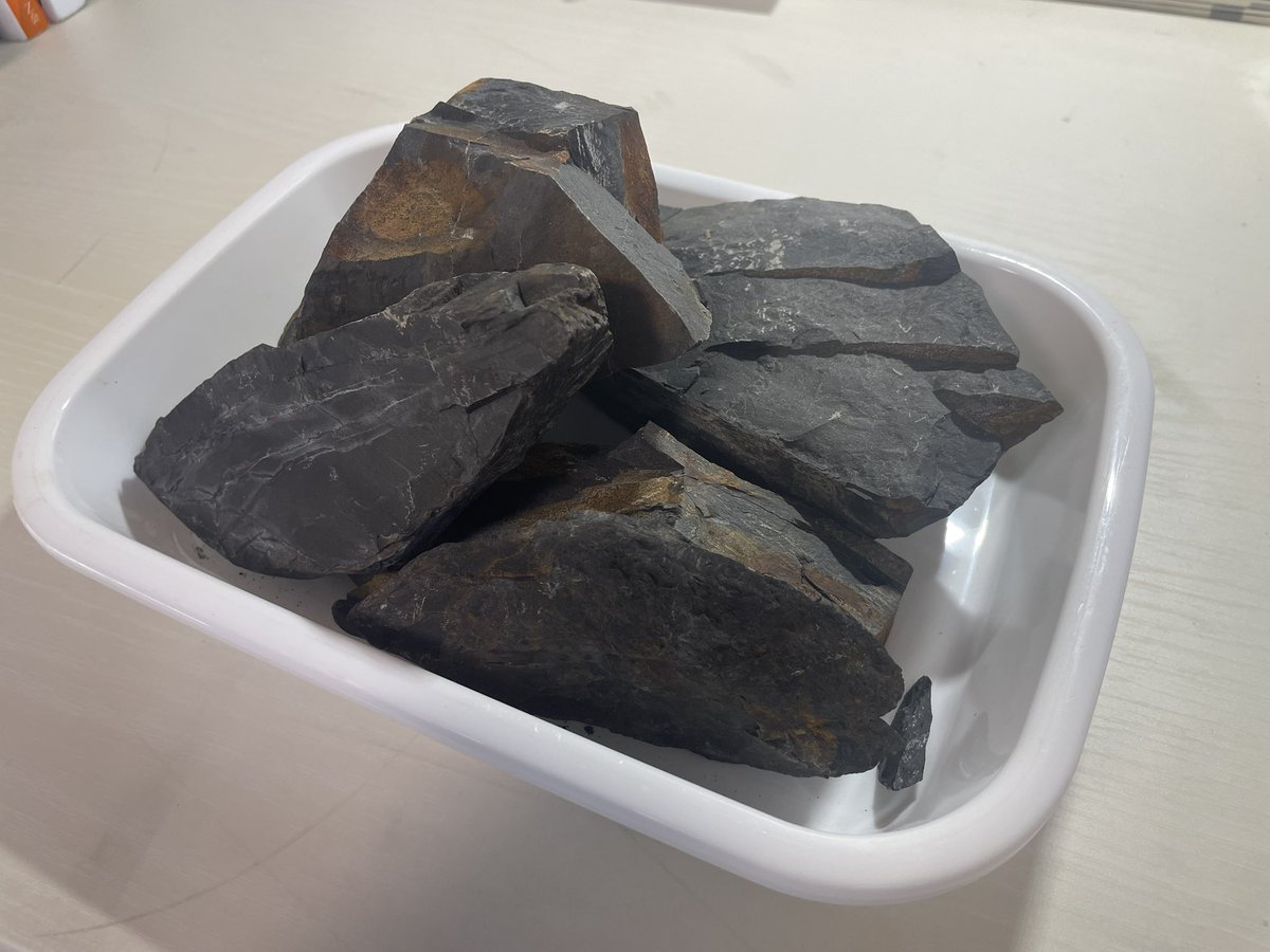 先日上流域で拾ってきた石。 細かい種類とかは分かりませんが、薄く