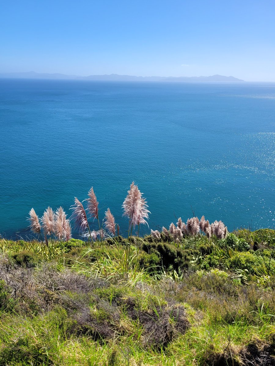 Tesha 🇳🇿 tweet media