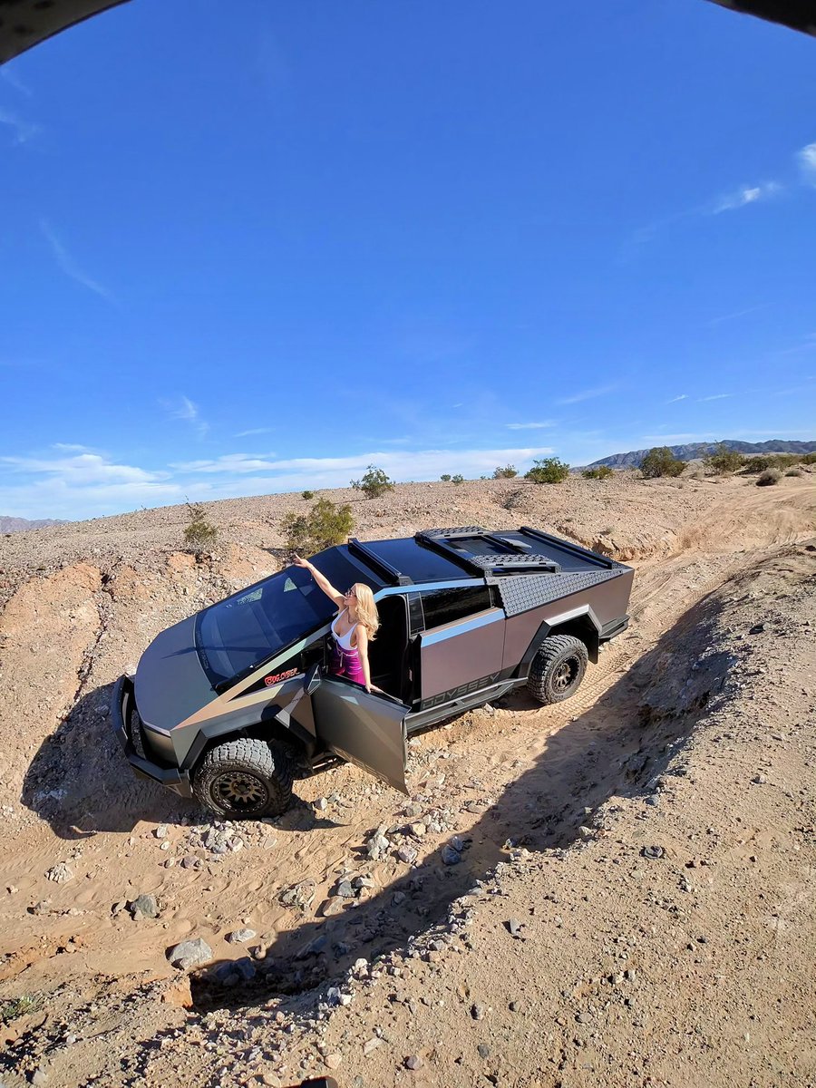 Cyber Odyssey tweet media