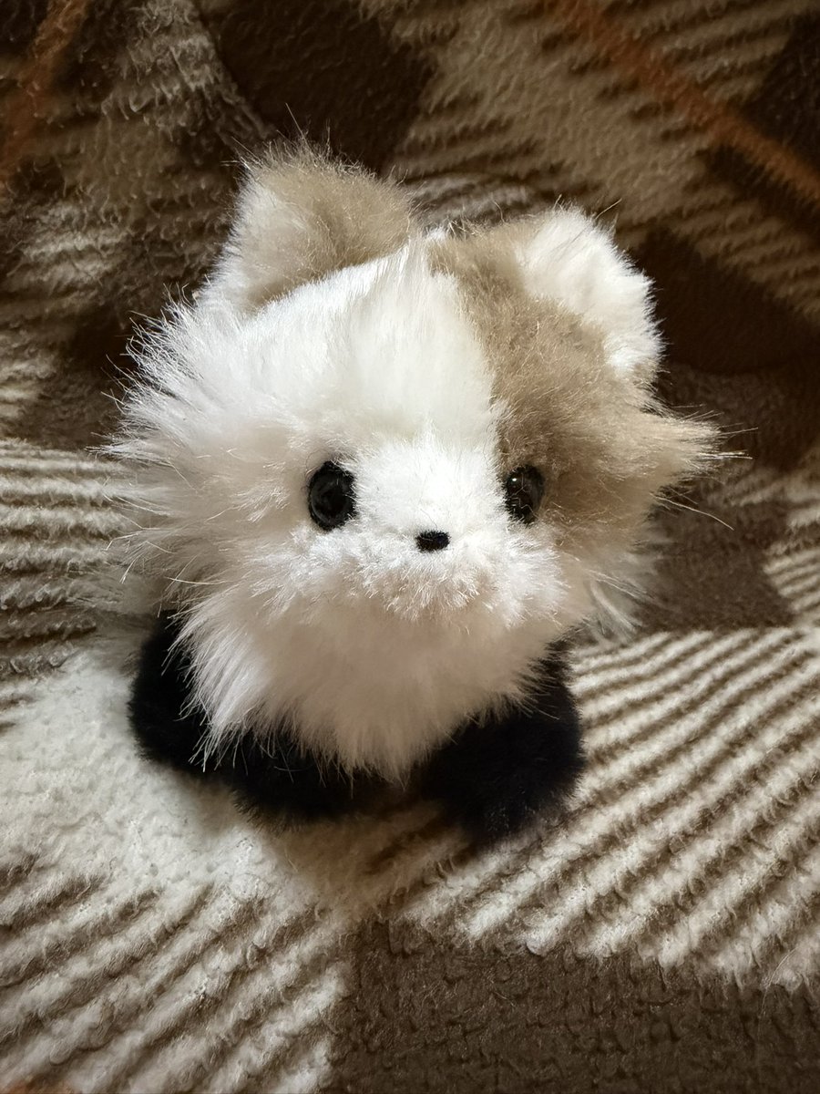 ポーズが変えられるんだよ〜！！！ 可愛いだね〜！！！ どの子もほんま