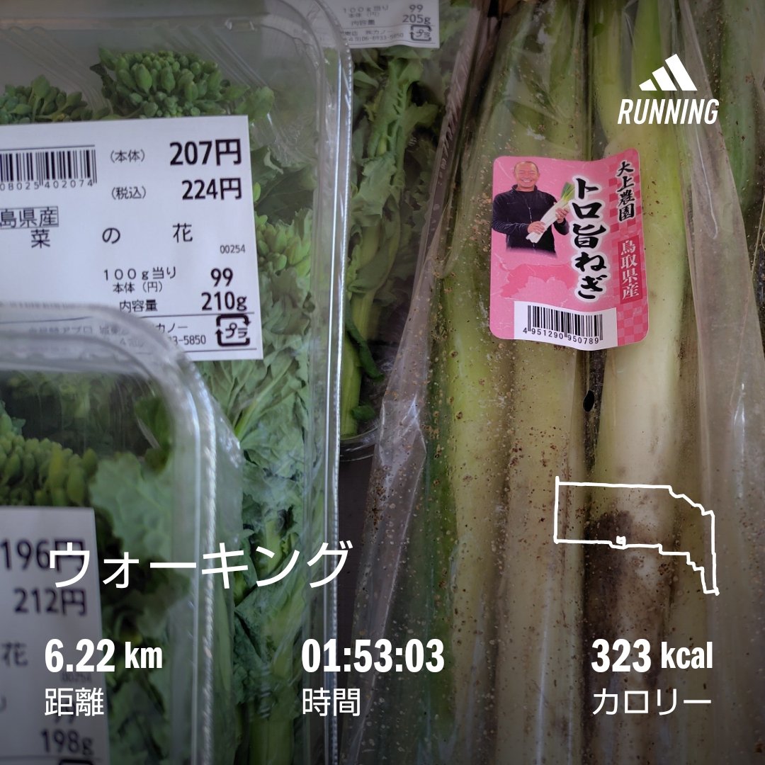 hot_spring_HANA's tweet photo. 三連休のスタートはウォーキング
6.22キロ😊
土付きの葱美味しかったからまた買っちゃった
それと菜の花の味噌󠄀辛子マヨ
��のお弁当の副菜の定番に😜 https://t.co/gnoVy7pdAR