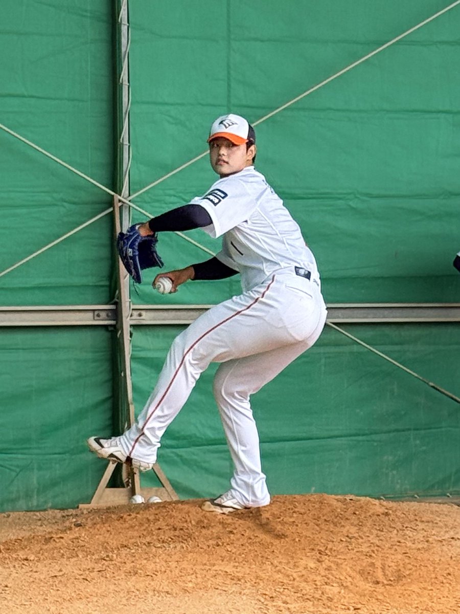 배영은 tweet media