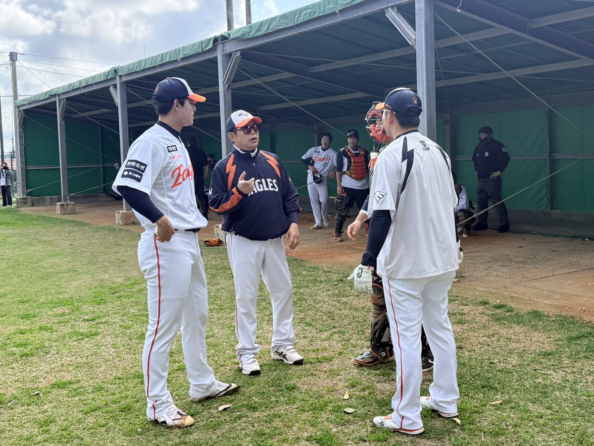 배영은 tweet media