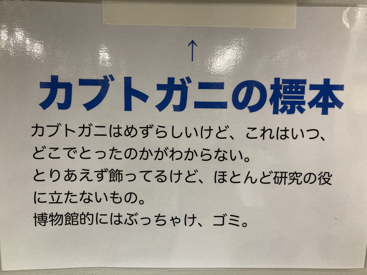 ぶっちゃけ、ゴミ。の展示。