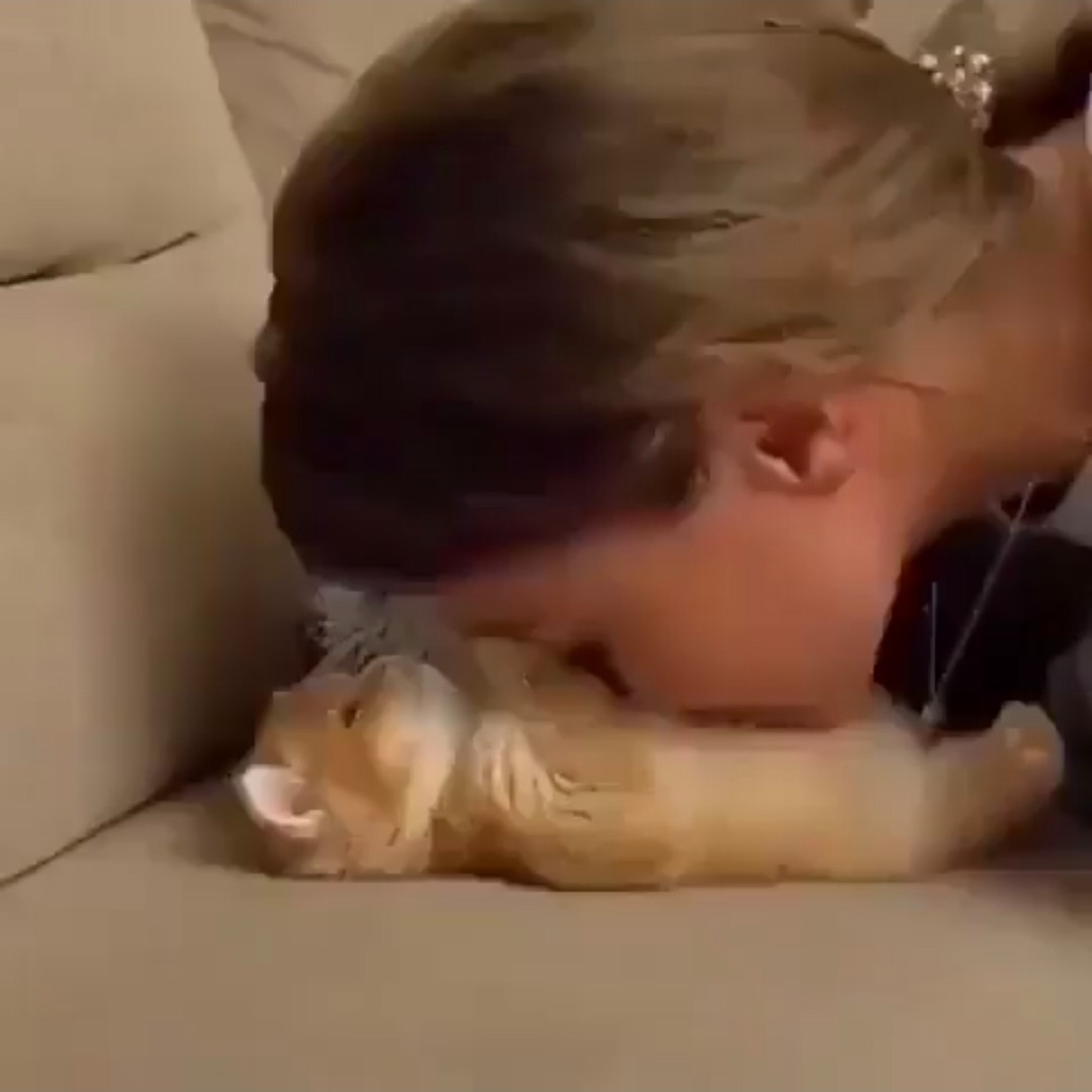 그럴줄알앜지만 역시나
내 노력형재능충뻬이비