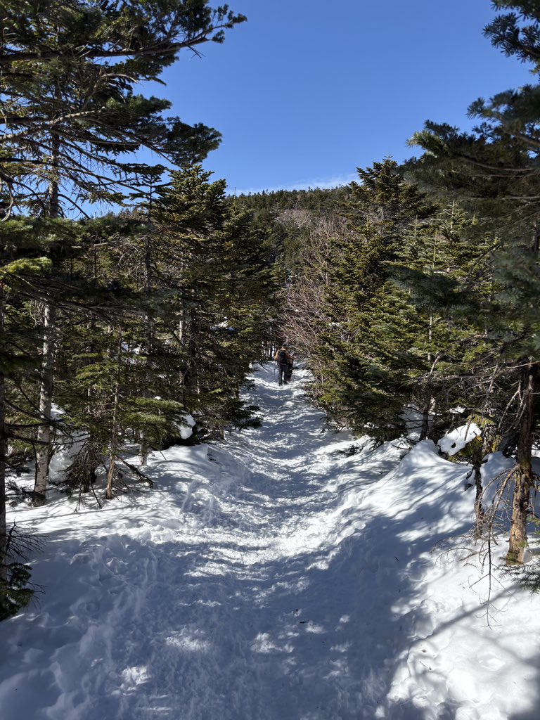 よっこ (@tukumoto819) / Posts / X