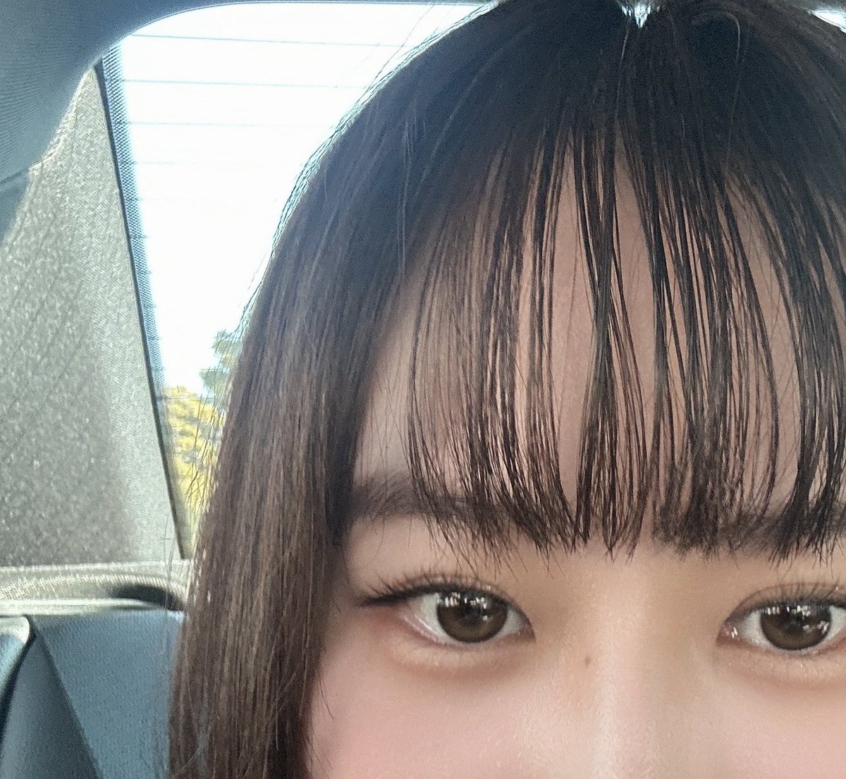 にゃんも氏東京向かいます