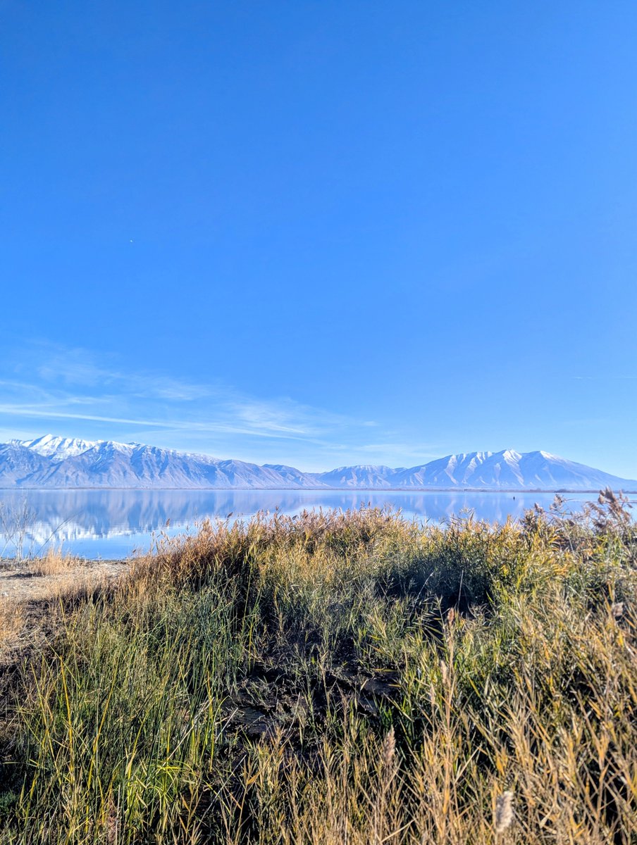 Hermano Johnson tweet media