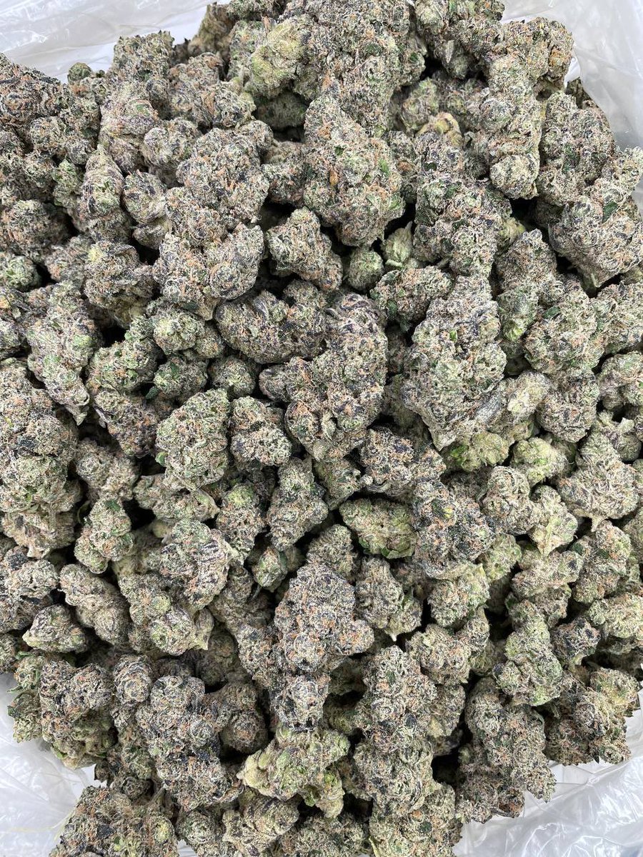 nectarweee5123's tweet image. I'm delivering  in #Dallas 📦📲
Got mentals otm ✅ 🔥‼️
TApn Tickets 🎫 🔥 Late Night Deals mobile 📲t.me/dopekingbuds

   #mobileplug #txplug 
#texasweed #drops 
#dtxplug #stxplug 
#htxplug #atxplug