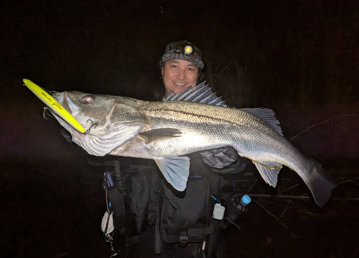 Fishman (@Fishman_BC) / Posts / X