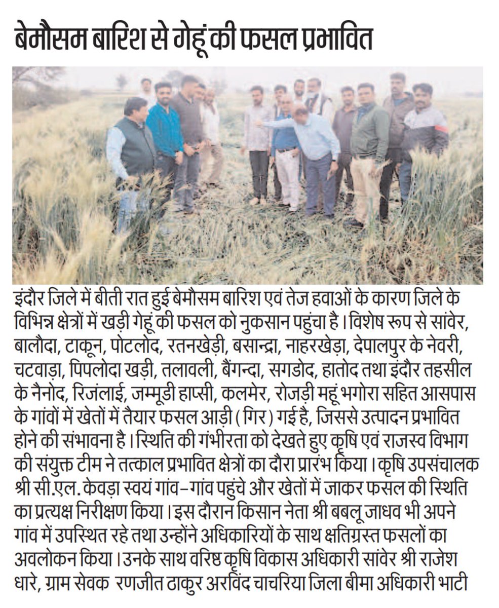 इंदौर जिले में बीती रात हुई बेमौसम बारिश और तेज हवाओं से खड़ी गेहूं की फसल को भारी नुकसान पहुँचा है।
कई गांवों में तैयार फसल गिरने से किसानों की मेहनत पर पानी फिरता नजर आ रहा है।
प्रशासन द्वारा प्रभावित क्षेत्रों का निरीक्षण किया जा रहा है, उम्मीद है जल्द उचित सहायता मिलेगी।