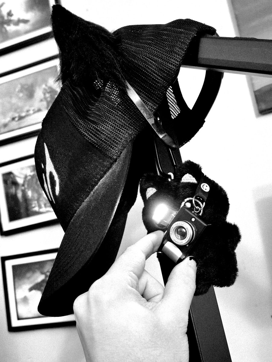 DaFives's tweet image. ~[ ◉¯]ᨐฅ𐌉𐌕 𐌌𐌄