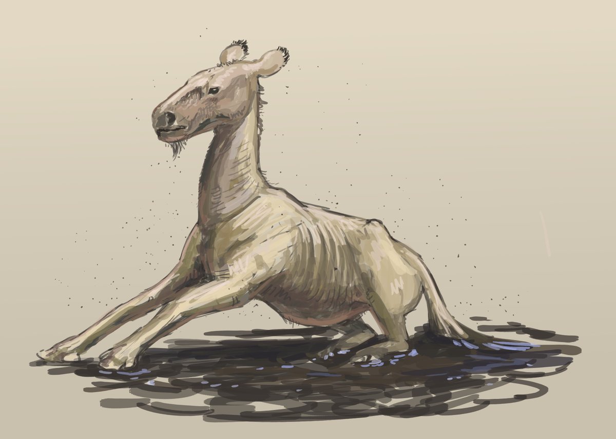 JoschuaKnuppe's tweet image. We had a special horse Flocking #paleostream today! 
I themed my pieces apocalyptic ;)
Shanxihippus (Famine), Archaeohippus (War), Megahippus (Famine) and Parahippus (Death)