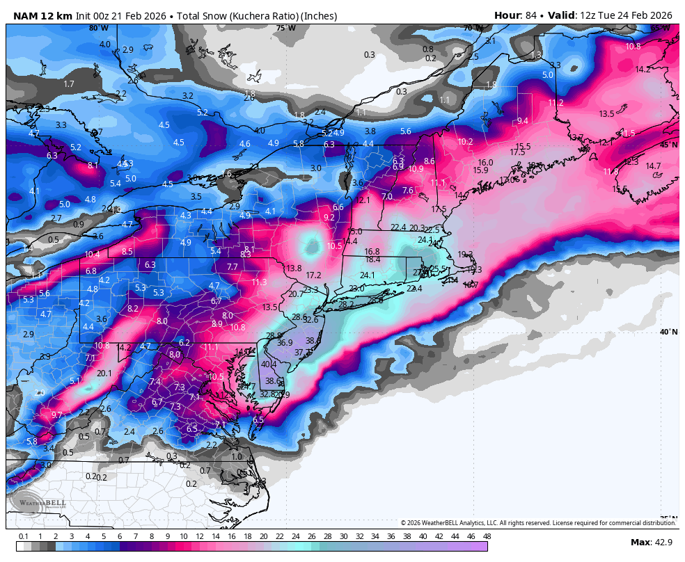 Vincent Lilly tweet media