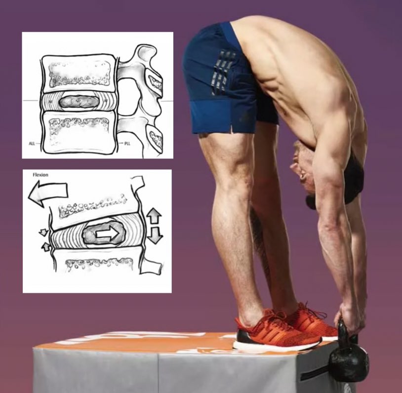 Squat University tweet media