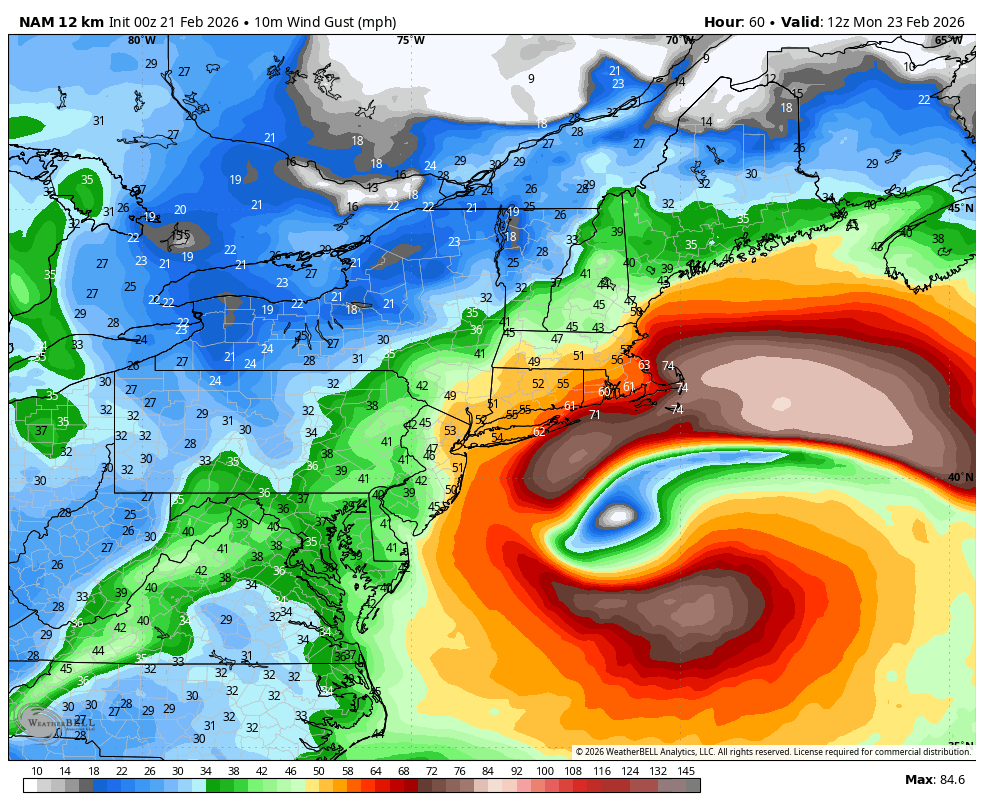Vincent Lilly tweet media