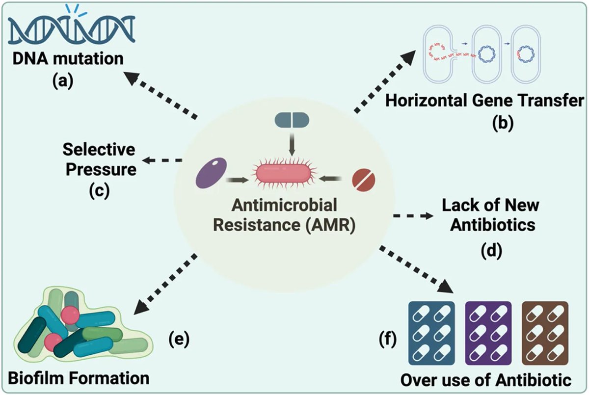Alternative therapeutics to control antimicrobial resistance: a general perspective | Frontiers in Drug Discovery

(frontiersin.org/journals/drug-…)