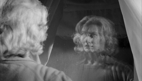 Daniel Hood tweet media