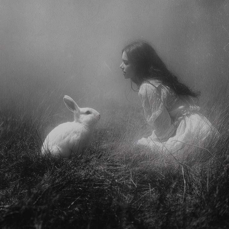 Drifter (@searcher9090) on Twitter photo 