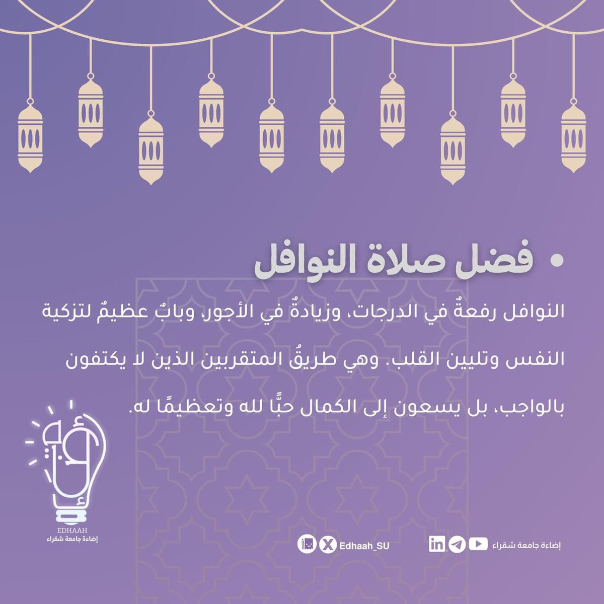 إضاءة جامعة شقراء💡 tweet media