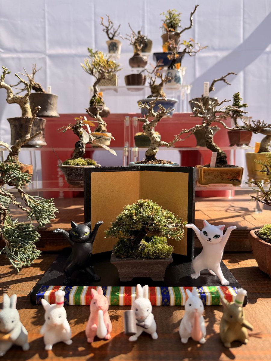 盆栽@イチロー tweet media