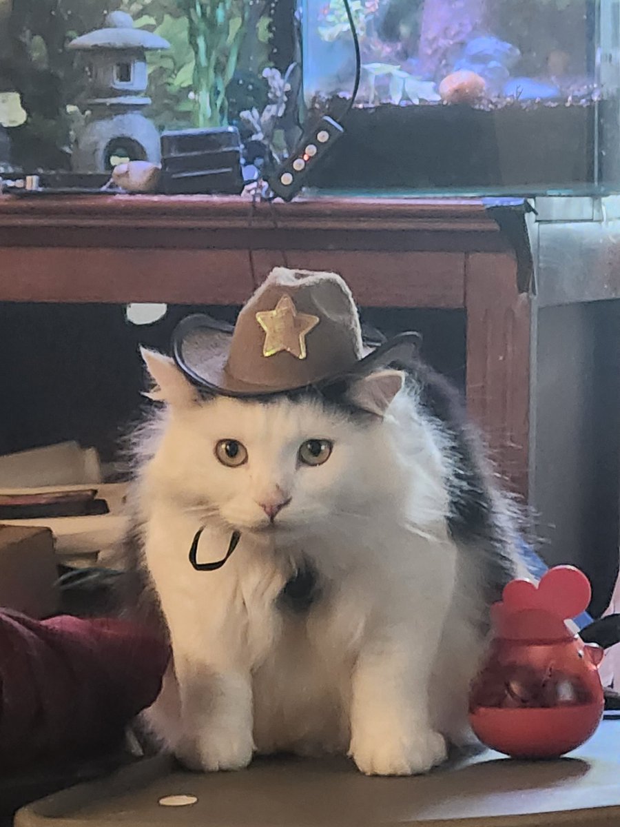 chaoticghost21's tweet photo. @Garrett_Watts This is Jack https://t.co/9kC7y0RaMo