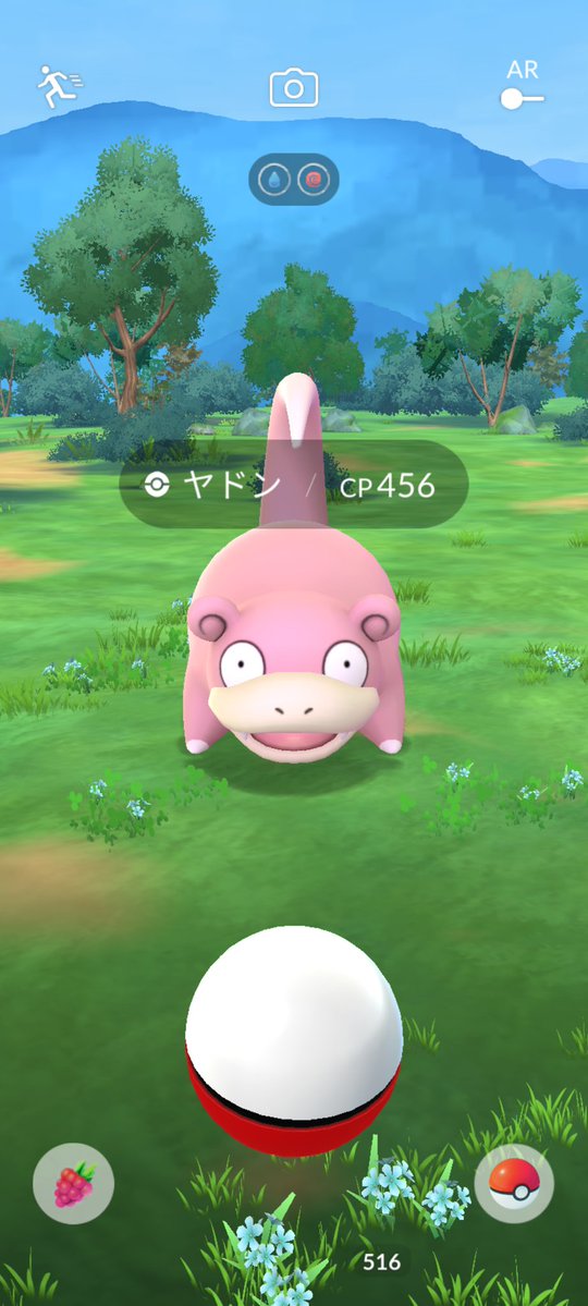 出先にヤドンちゃんがいたー