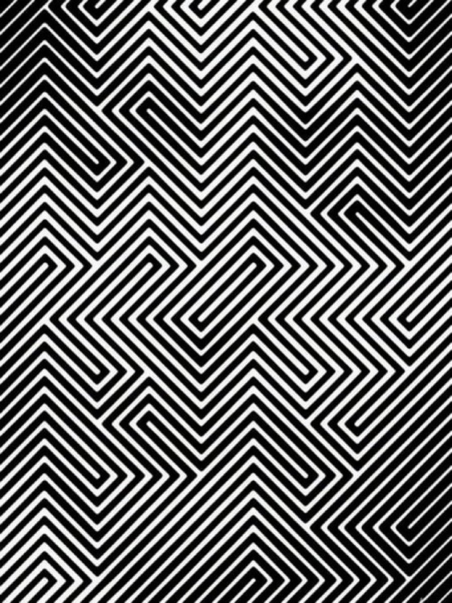 FAN MAGA MUSK* tweet media