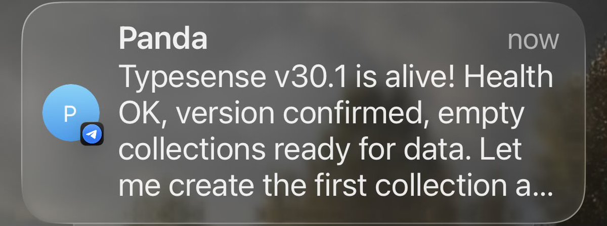 joel ⛈️ tweet media