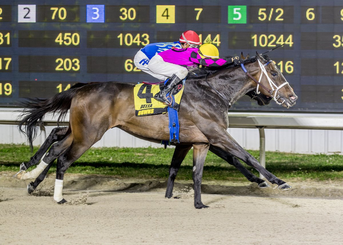 Delta Downs Racing tweet media