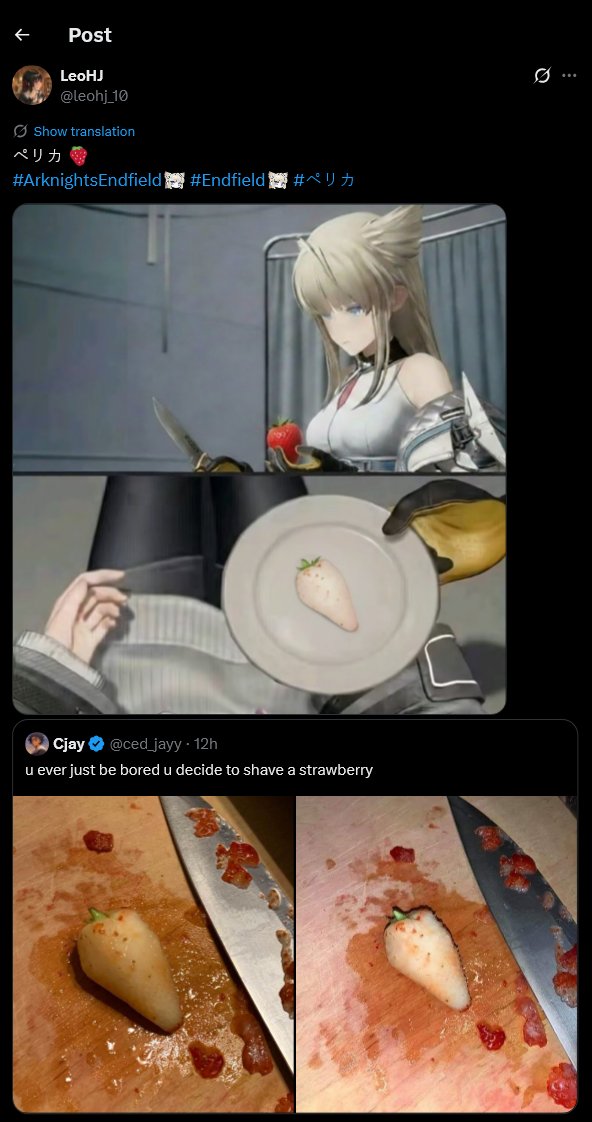 EndfieldoOOC's tweet image. 