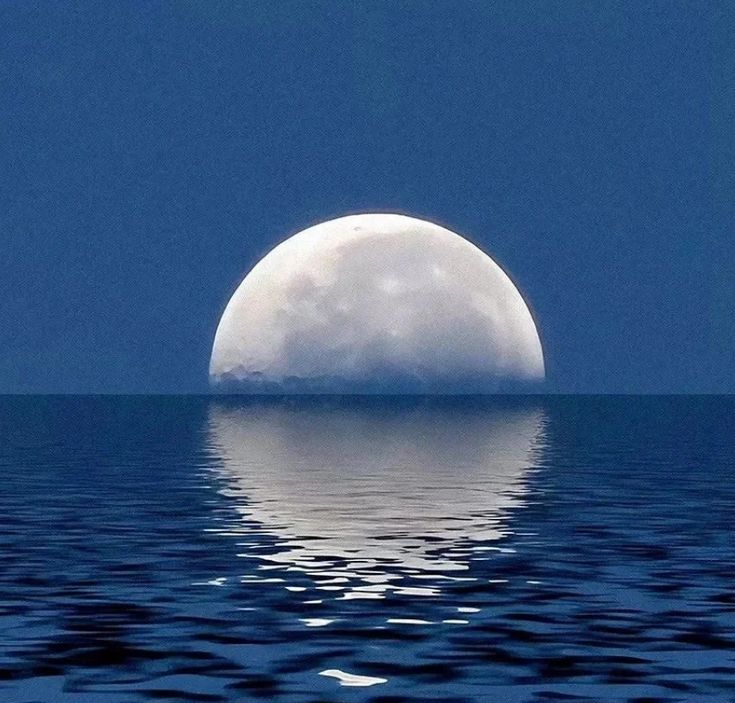 httplsnake's tweet image. Eu tava escutando a musics "O sol e a Lua" sabe? Aquela "o sol pediu a lua em casamento..." enfim, e me veio a teoria: A Lua não aceitou o pedido do Sol, pq ela é apaixonada pelo mar e eles já vivem esse romance meio impossível, tanto que a Lua tem influência grande nas mares