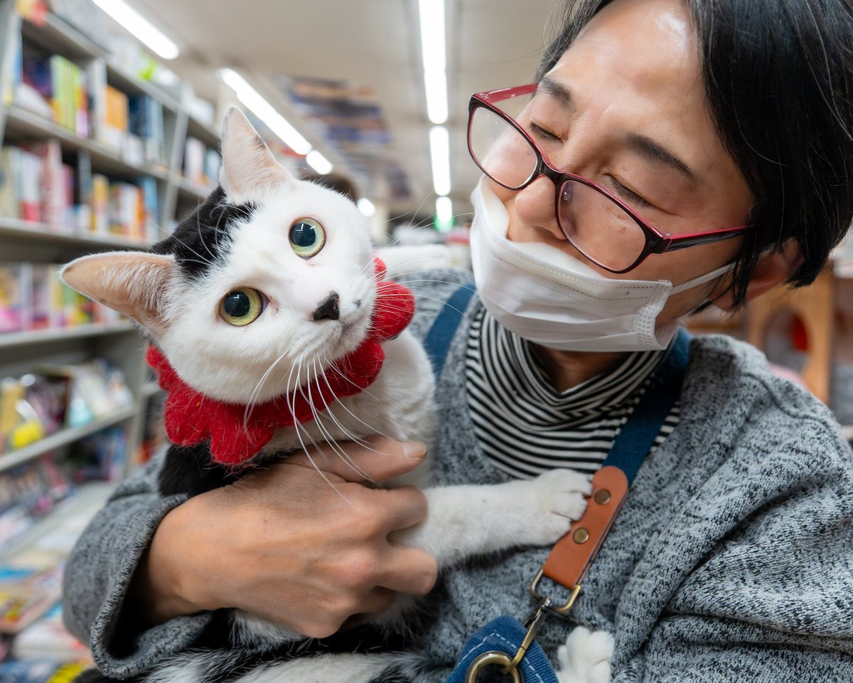 アイスクリームマン2冊 ダイキチくんがモデルになった絵本「マカとロンとおおきなアイス