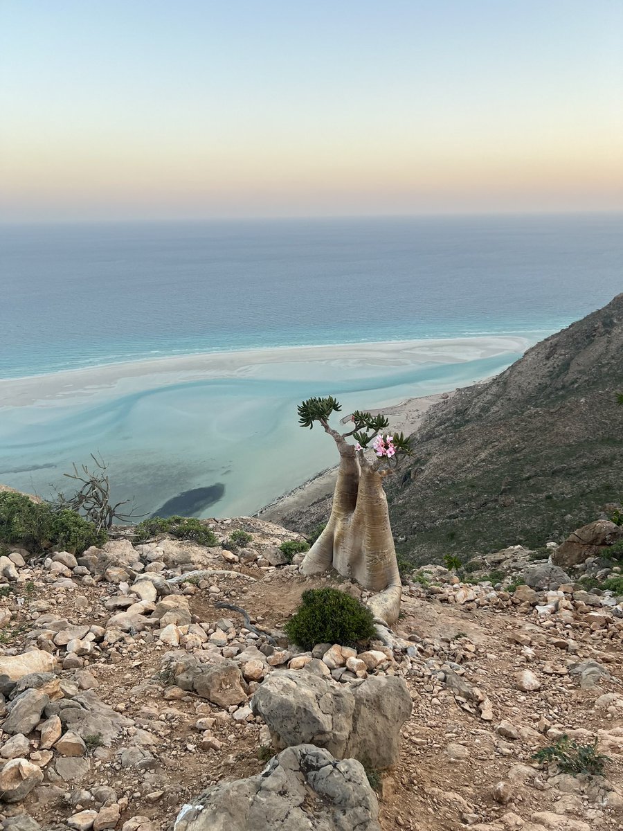 Ketika foto ngasal tapi lo di tempat Dajjal alias Socotra