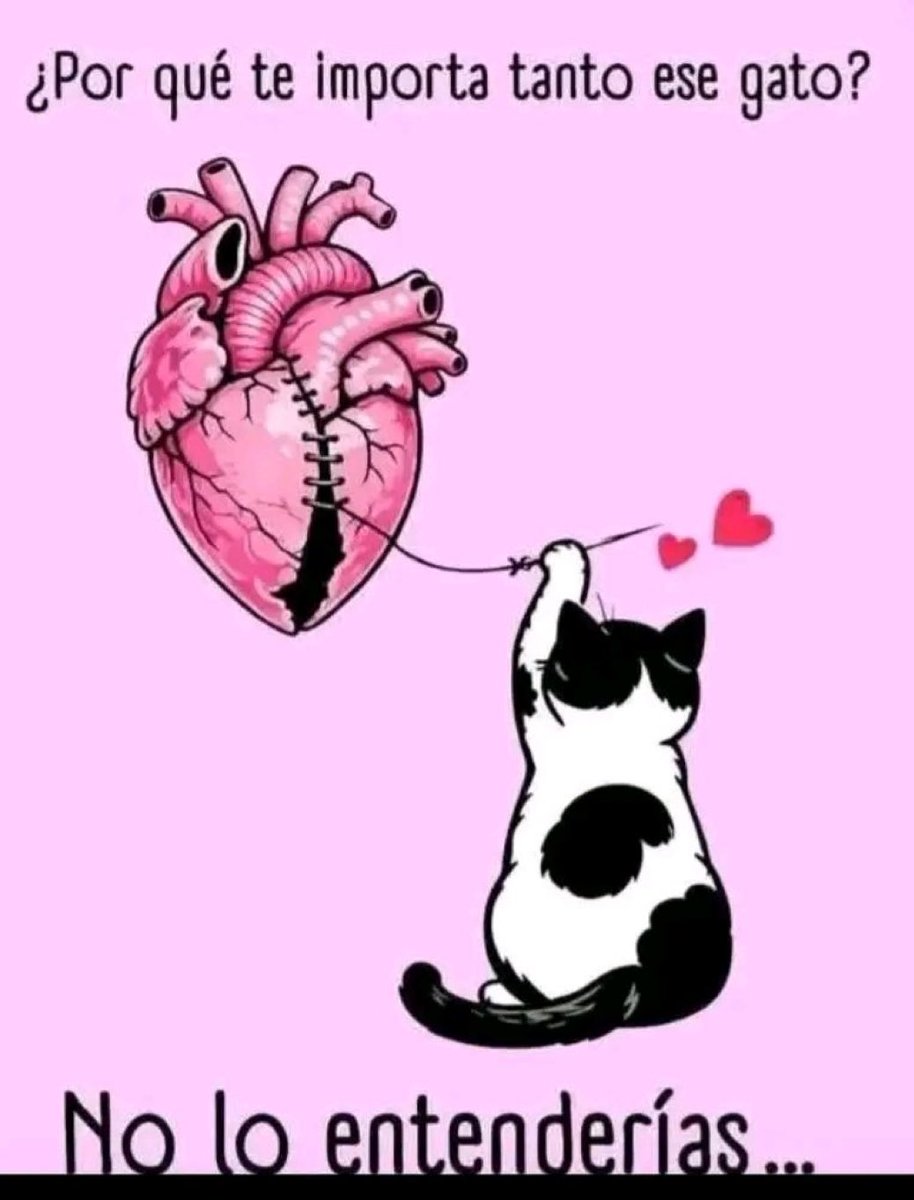 LindisIrma 🐦 tweet media