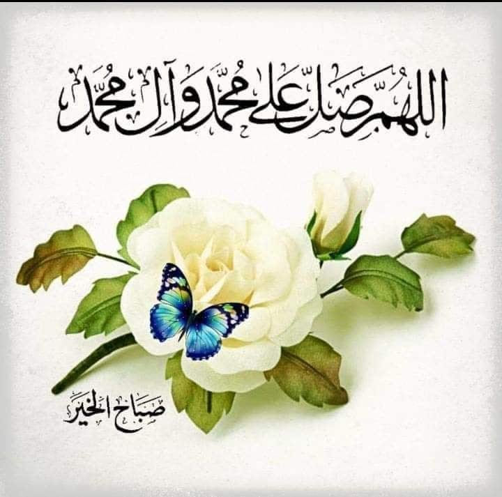 نازشِ امیر سلفی 🇵🇰💓🇵🇰 tweet media